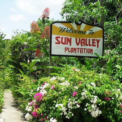 sun-valley-plantation